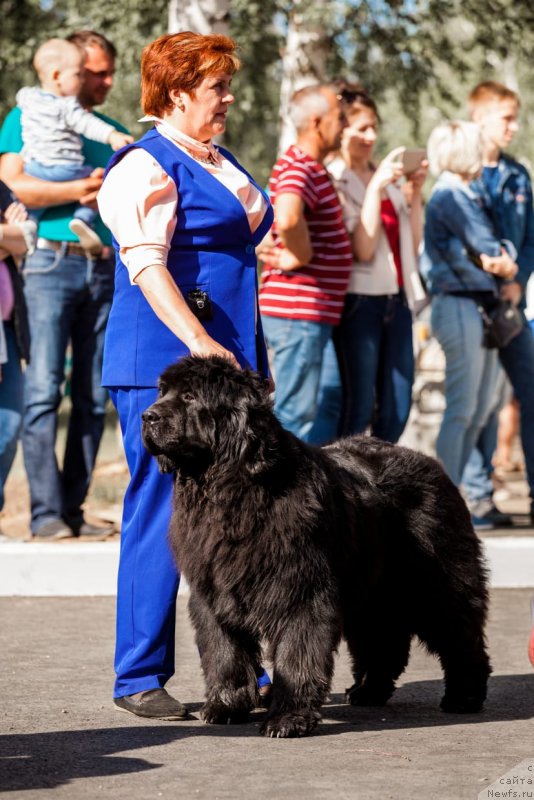 Фото: [d17137]Супер Премиум Элизабет, Анжелика Маншетова