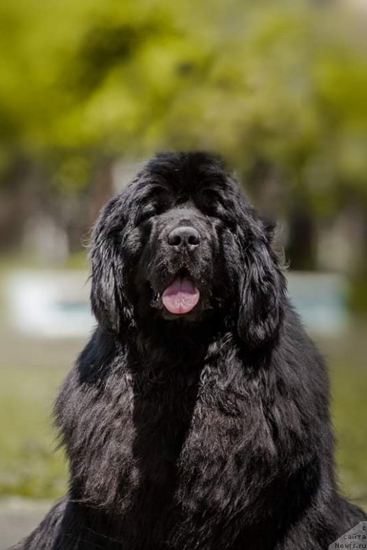 Фото: Анжелика Маншетова