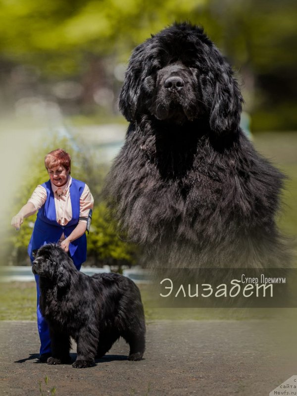 Фото: Анжелика Маншетова