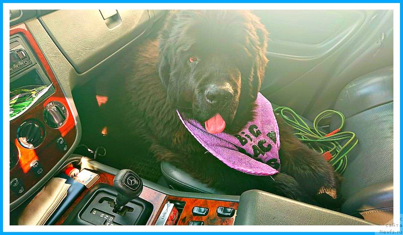 Фотография № 244300