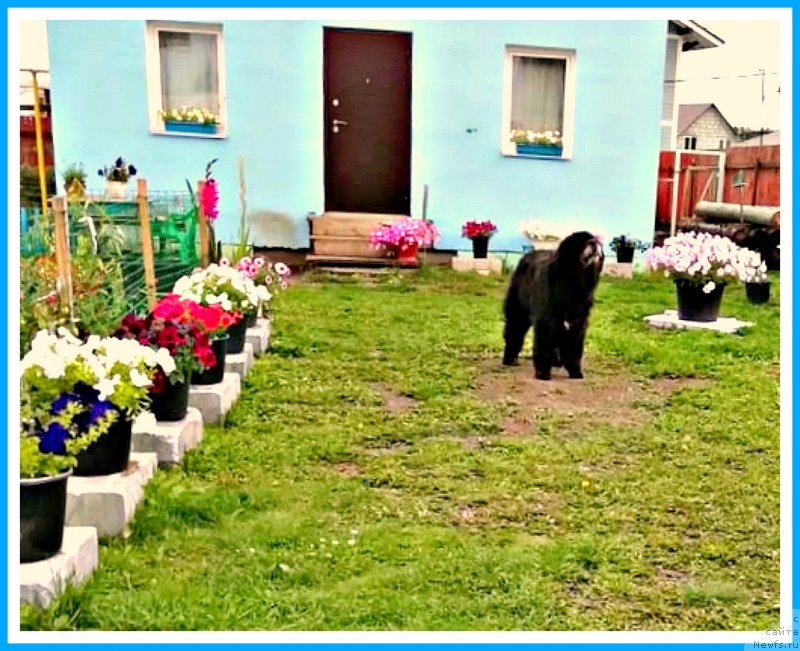 Фотография № 244341