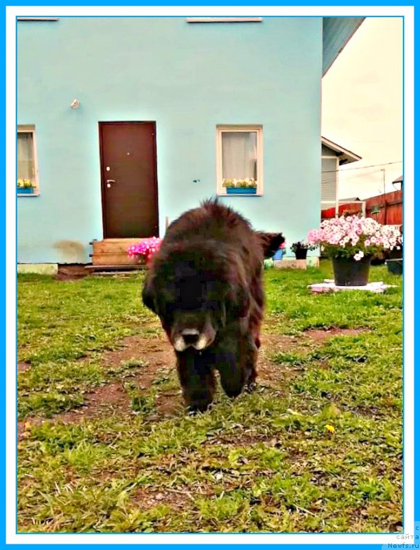 Фотография № 244343