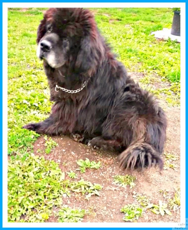 Фотография № 244345