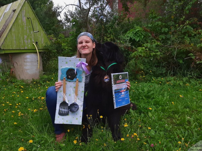 Фотография № 244348