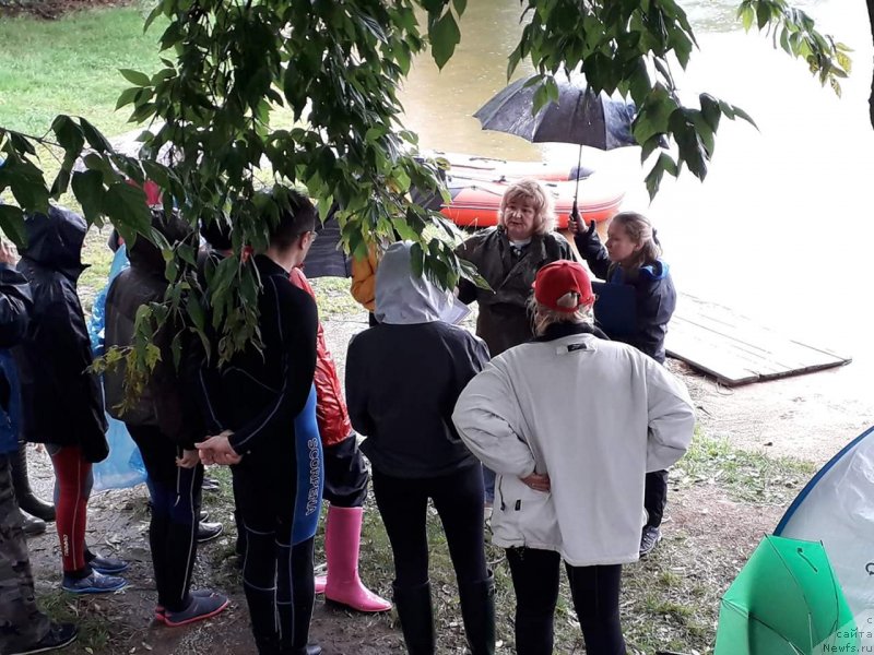 Фотография № 244349