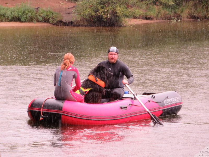 Фотография № 244350