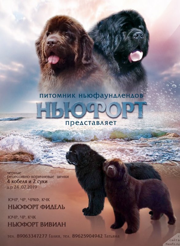 Фотография № 244361