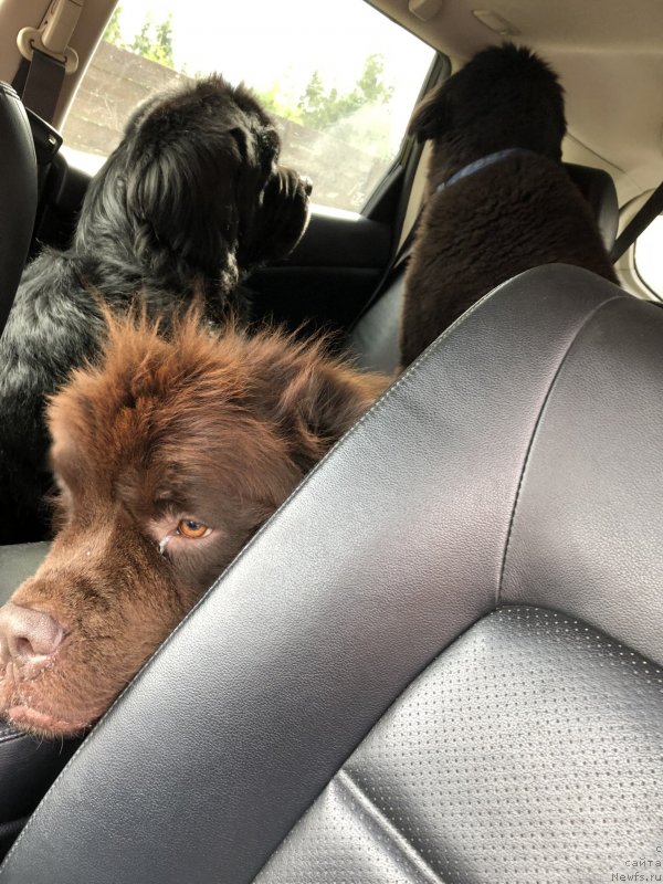 Фотография № 244365