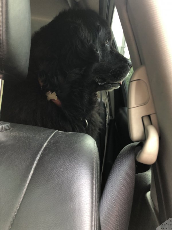 Фотография № 244366