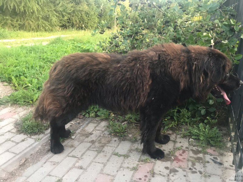 Фотография № 244373