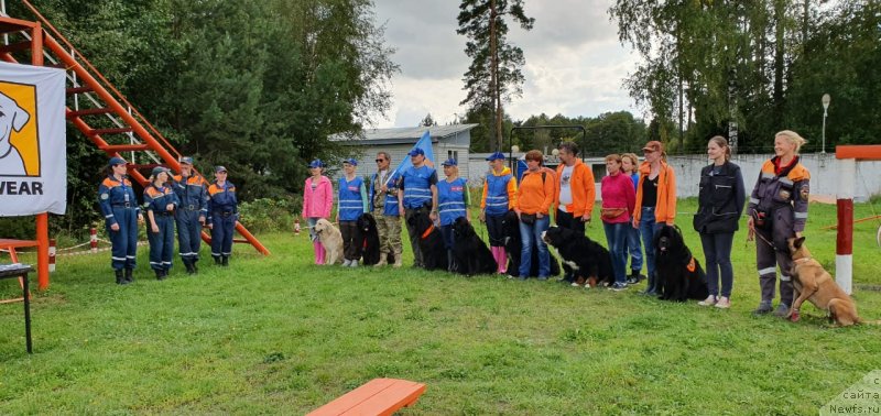 Фотография № 244375