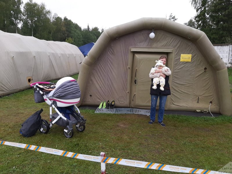 Фото: Анна Петрушкина