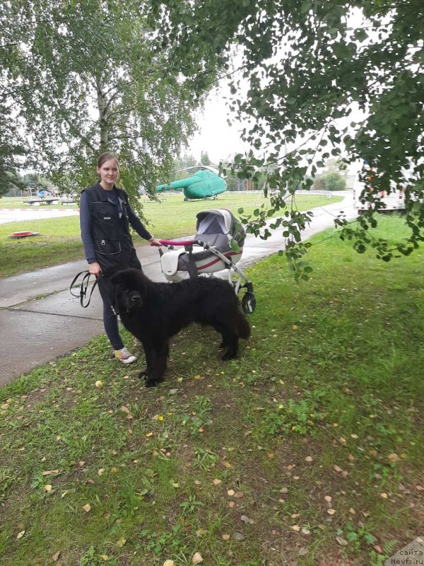 Фотография № 244380