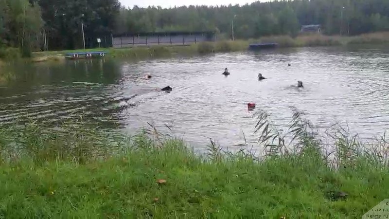 Фотография № 244382