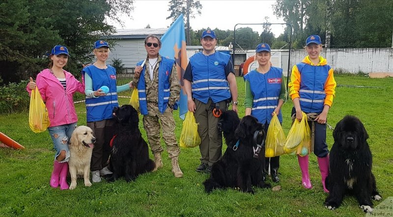 Фотография № 244384