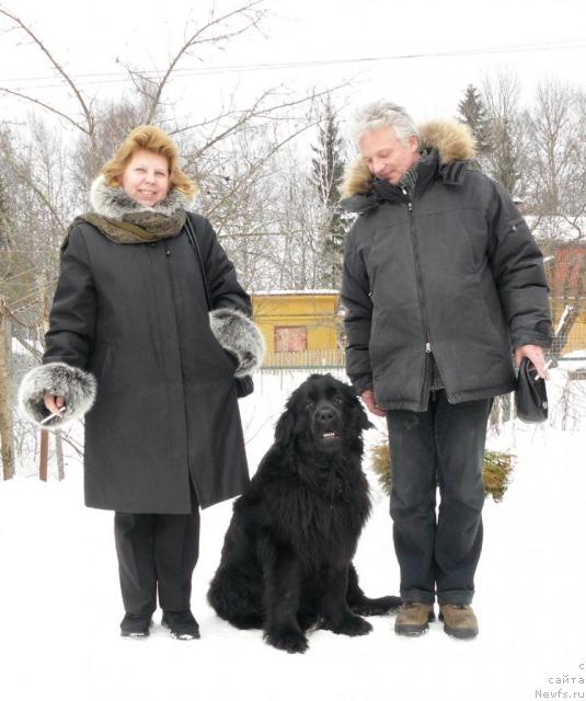 Фото: Любовь, ньюфаундленд Пчёлкин Дом Аквилегия, Михаил