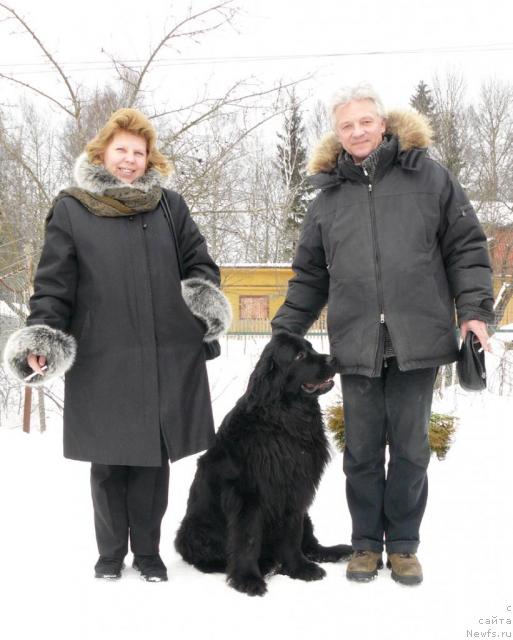 Фото: Любовь, ньюфаундленд Пчёлкин Дом Аквилегия, Михаил