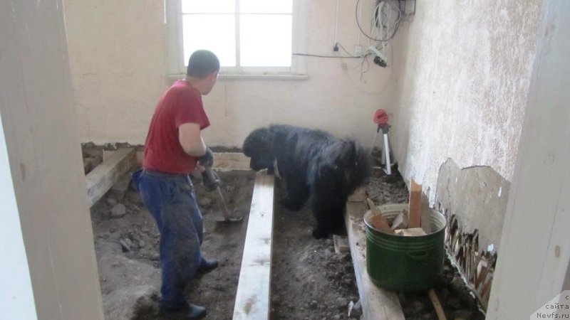 Фотография № 244479