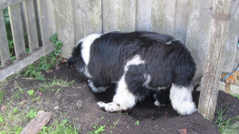 Фотография № 244481