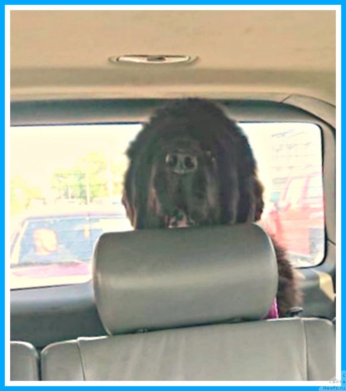 Фотография № 244487