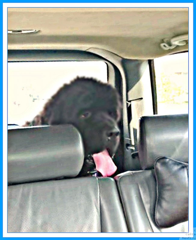 Фотография № 244488