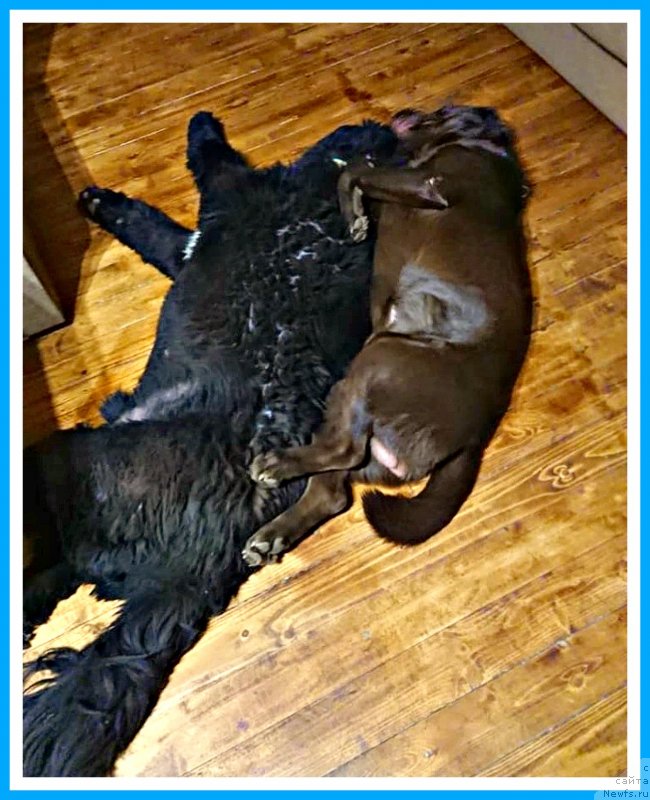 Фотография № 244489