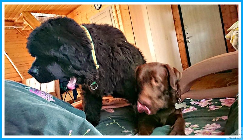 Фотография № 244490