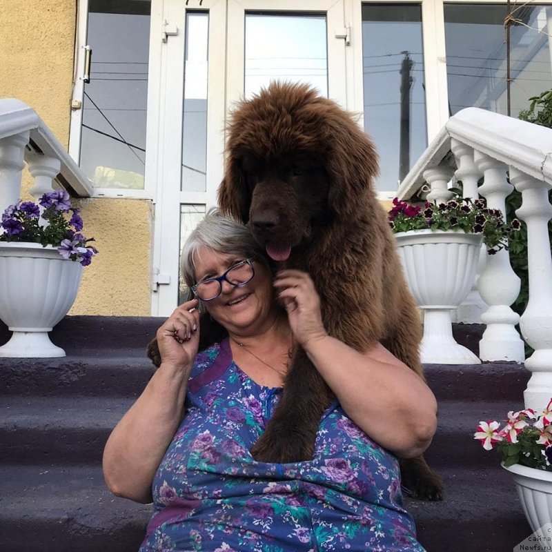 Фотография № 244493