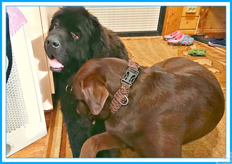 Фотография № 244496