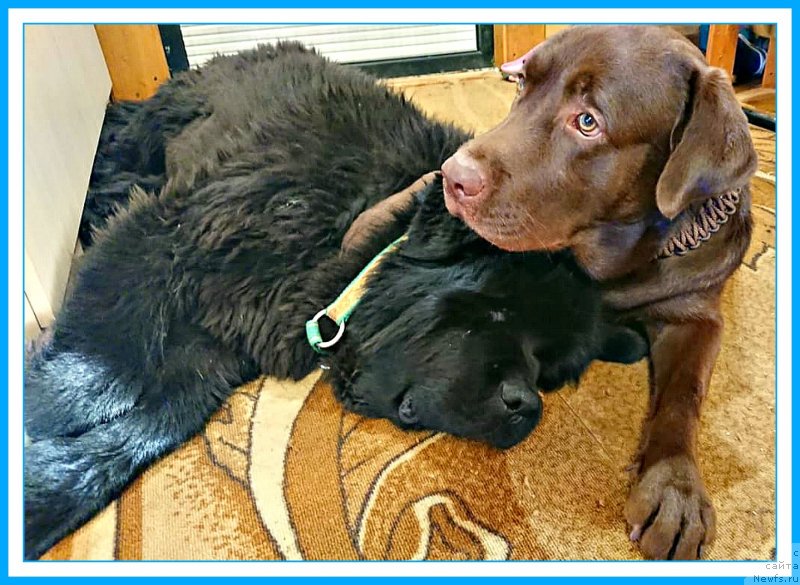 Фотография № 244498