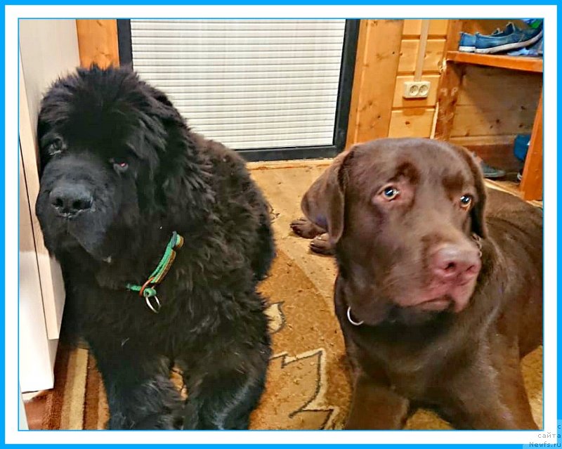 Фотография № 244499