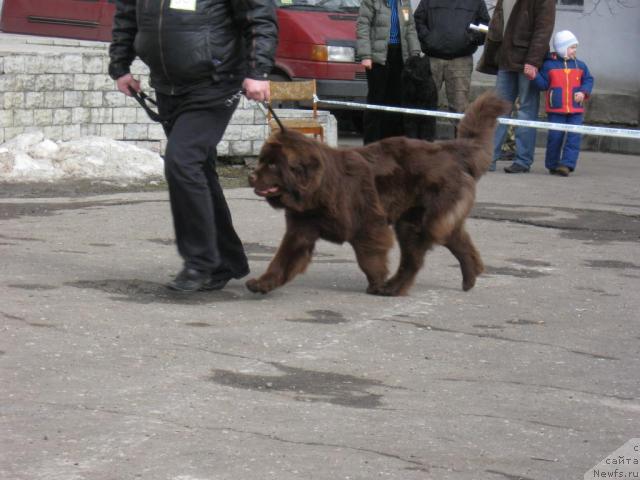 Фото: Забава Путятишна