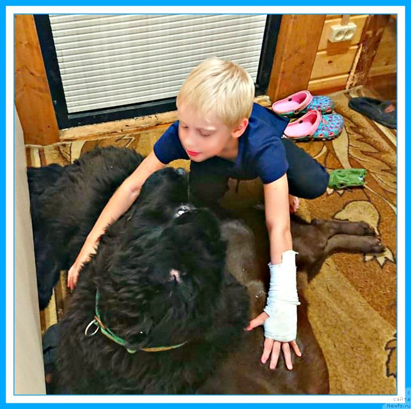 Фотография № 244501