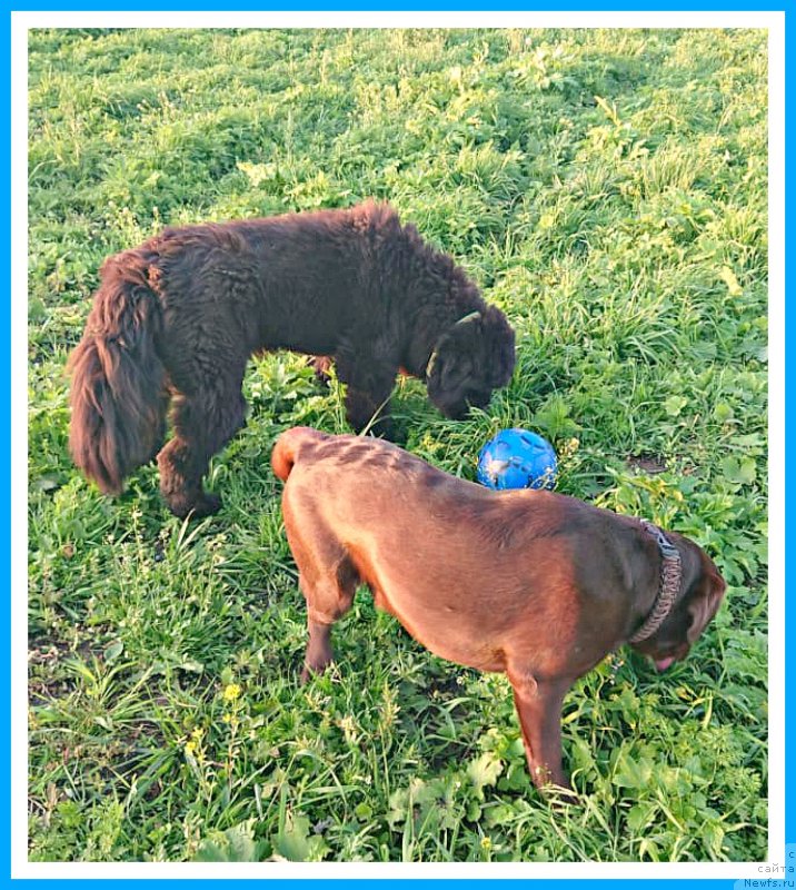 Фотография № 244502