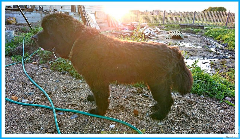 Фотография № 244505