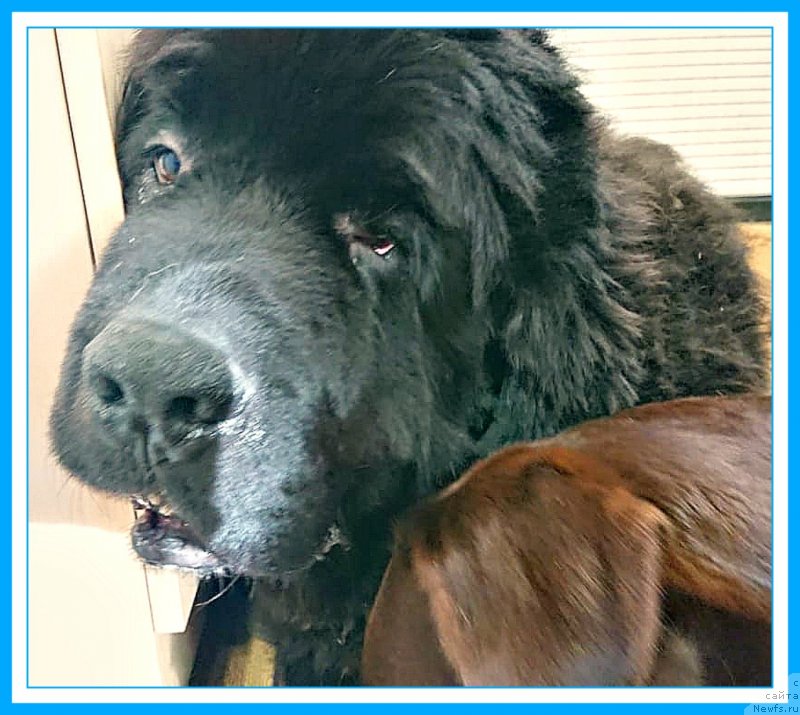 Фотография № 244506