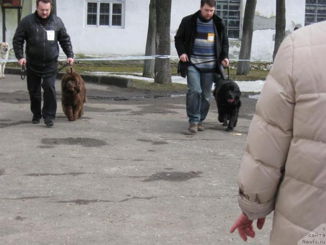 Фото: Забава Путятишна и Знатная особа