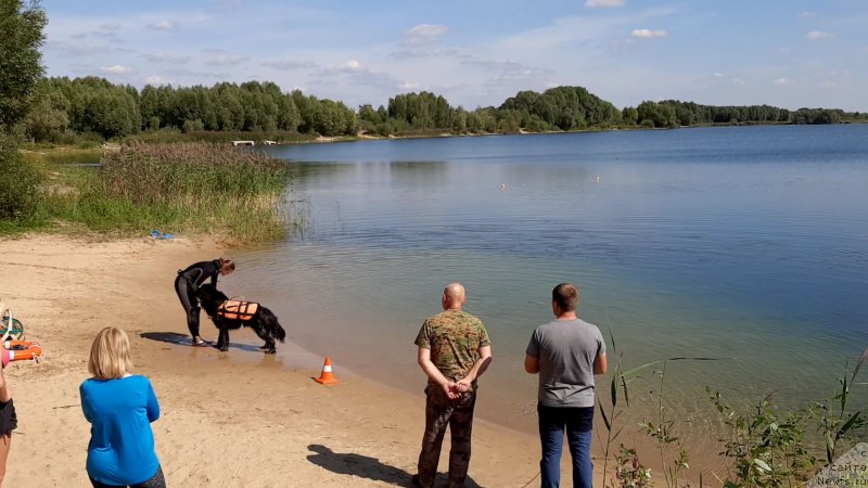 Фотография № 244515