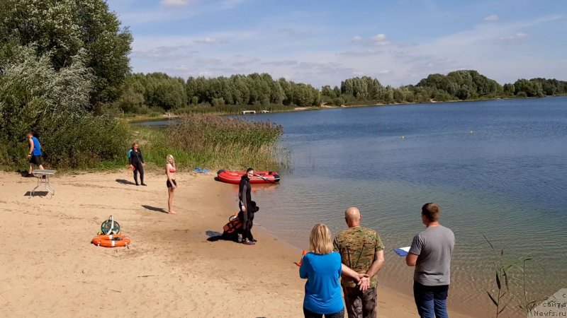 Фото: ньюфаундленд Риччи с Берега Дона (Richchi s Berega Dona), Анастасия Киреева