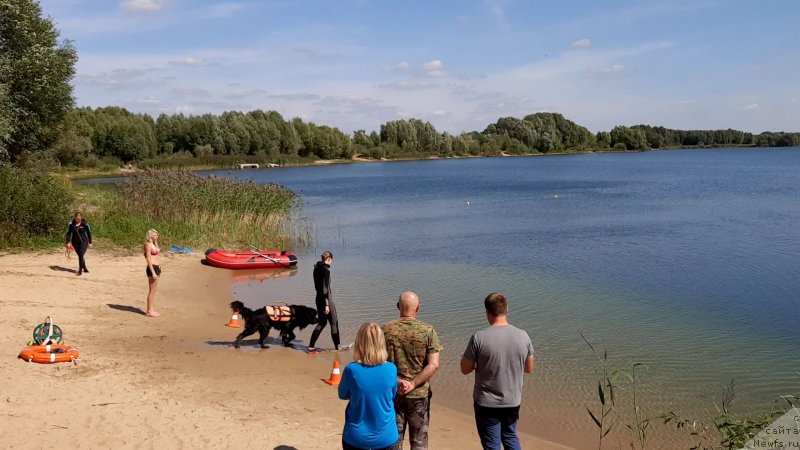 Фотография № 244522