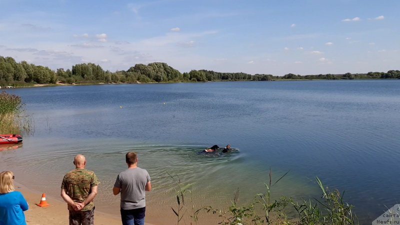 Фотография № 244524