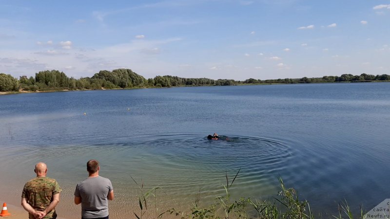Фото: ньюфаундленд Риччи с Берега Дона (Richchi s Berega Dona), Анастасия Киреева