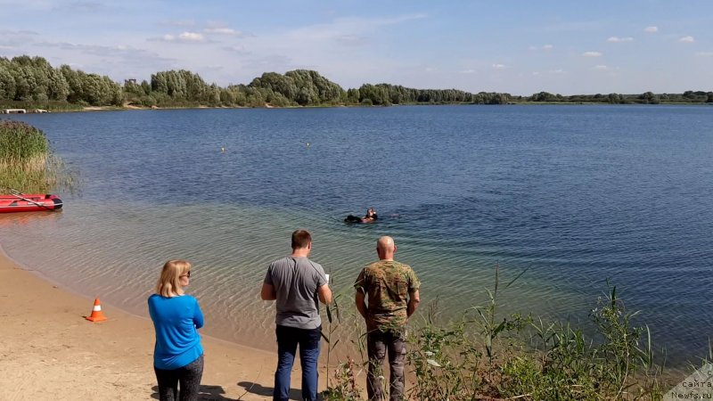 Фото: Анастасия Киреева, ньюфаундленд Риччи с Берега Дона (Richchi s Berega Dona)
