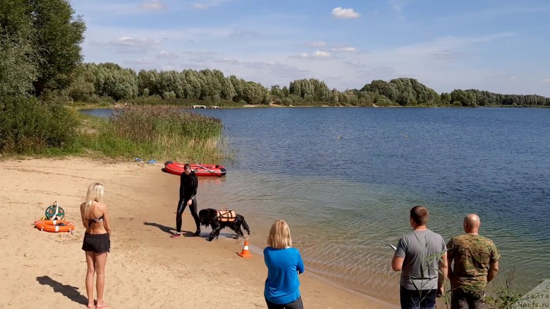 Фотография № 244527