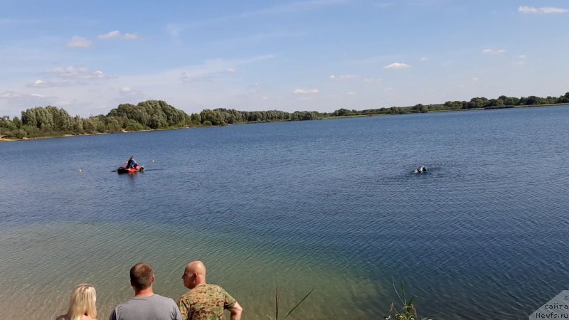 Фотография № 244529