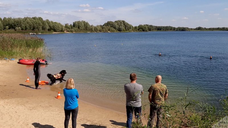 Фотография № 244532