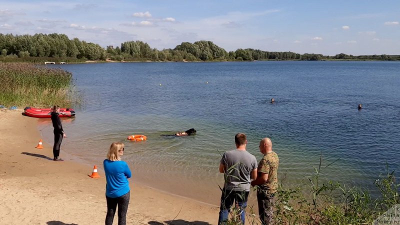 Фотография № 244533