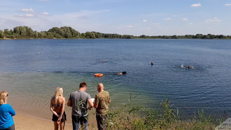 Фотография № 244534