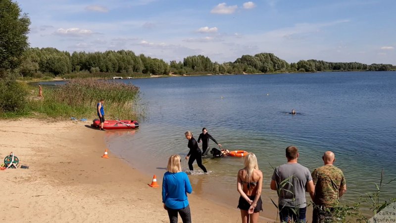 Фотография № 244537