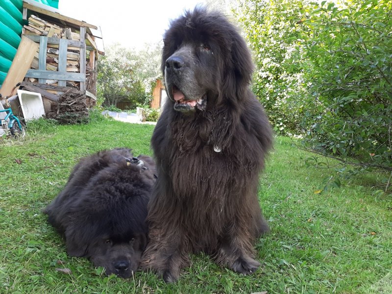 Фотография № 244543